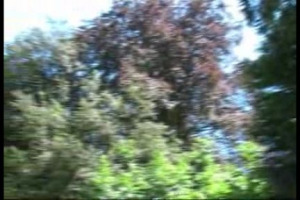 Le bottiglie del passato sono le pagine che raccontano la storia di ogni grande realt&agrave; vinicola. Ecco il caveau firmato Fontanafredda che testimonia, tappa dopo tappa, il legame indissolubile e attuale dell'azienda con le proprie origini