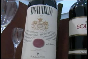 Solaia, Tignanello, San Leonardo, Terra di Lavoro. Simboli dell'Italia del vino ma anche alcune delle etichette pi&ugrave; ricercate dagli internauti