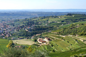 Chiarezza nello stile, zonazione, promozione, più serenità e concordia nel territorio, per crescere ancora: il futuro della Valpolicella e dell’Amarone secondo le sue tante anime. Dal Consorzio alle “Famiglie Storiche”, ai singoli produttori