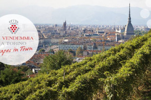 Tra le tante vendemmie d&rsquo;Italia, quest&rsquo;anno per la prima volta &egrave; andata in scena anche quella urbana di Torino, tra la Vigna della Regina che domina la Mole, i palazzi storici, i portici della citt&agrave;, e i &ldquo;turet&rdquo; da cui &egrave; sgorgata Barbera