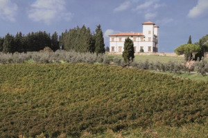 Territorio e denominazioni sono pilastri del vino italiano. Ma in alcuni casi, da soli, sono concetti che non bastano pi&ugrave;, perch&egrave; c&rsquo;&egrave; un mondo di appassionati che chiede di sapere da quale singolo pezzo di vigna arriva l&rsquo;uva da dove nasce quel vino