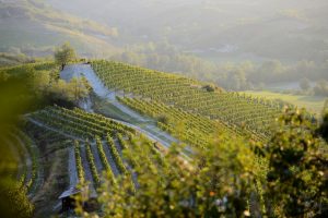 Il &ldquo;concilio&rdquo; di Gavi: il 25 maggio la &ldquo;Carta del Vino Responsabile&rdquo; ed il &ldquo;Premio La Buona Italia&rdquo;