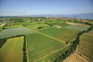 &ldquo;Ripensare la Tav Brescia-Verona per il territorio. La bellezza, per il vino, non &egrave; un capriccio&rdquo;