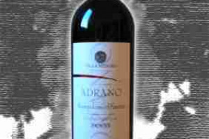 Villa Medoro Docg Colline Teramane Adrano