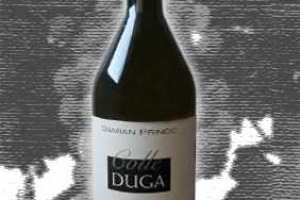 Colle Duga Doc Collio Friulano