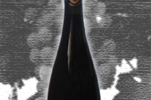 Ermete Medici Doc Reggiano Lambrusco I Quercioli