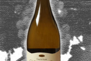 Umani Ronchi Dop Verdicchio dei Castelli di Jesi Classico Superiore Vecchie Vigne