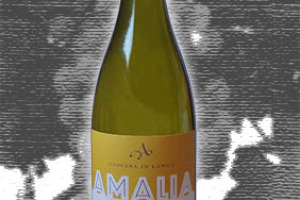 Amalia Cascina in Langa Dop Langhe Rossese Bianco