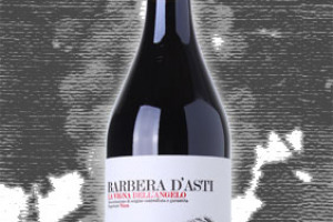 Cascina La Barbatella Dop Barbera d’Asti Superiore Nizza La Vigna dell’Angelo