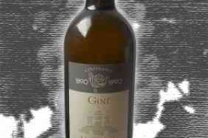 Gini Doc Soave Classico La Froscà