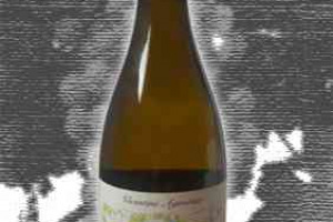 Vicentini Docg Soave Superiore Il Casale