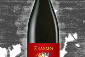 Erasmo Valle del Maule Barbera Garnacha