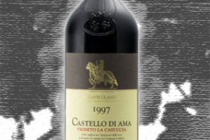 Castello di Ama Docg Chianti Classico Vigneto Casuccia