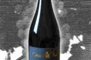Arduini Doc Amarone della Valpolicella Classico