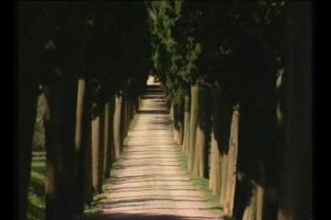 Franco Biondi Santi, il mito del vino italiano, si racconta a WineNews: la storia, le idee, le imprese della famiglia che ha inventato il Brunello di Montalcino