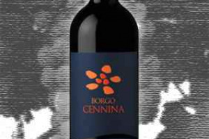 Poggio Cennina Toscana Igt Borgo Cennina