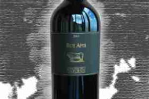 Cantina del Taburno Doc Aglianico del Taburno Bue Apis