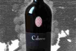Tenute A. e G. Folonari Pinot Nero Igt Toscana Cabreo Black