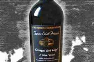 Tenuta Sant’Antonio Doc Amarone della Valpolicella Campo dei Gigli