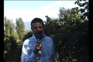 L'anima candida del Sagrantino. Da Montefalco, terroir d'elezione di uno dei grandi vini rossi da invecchiamento italiani, arriva la notizia della scoperta di un nuovo clone. Bianco