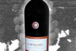 Cantina Settesoli Sicilia Igt Mandrarosa Carthago