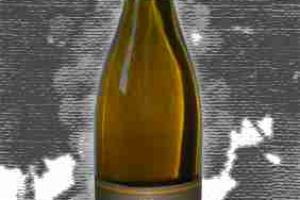 Umani Ronchi Doc Verdicchio dei Castelli di Jesi Classico Superiore Casal di Serra