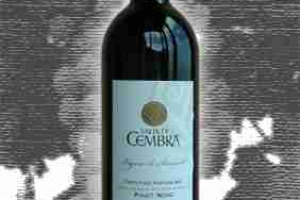 La Vis e Valle di Cembra Doc Trentino Superiore Pinot Nero Vigna di Saonset