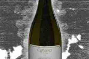 Castello della Sala Umbria Igt Cervaro della Sala