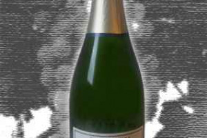 Cesconi Doc Trento Brut Blauwal -