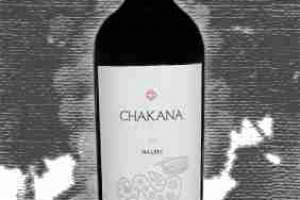 Bodegas Chakana Mendoza Malbec