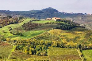 Oltrep&ograve; Pavese senza pace: nuova frattura tra grandi e piccoli produttori, in 14 fuori dal Consorzio