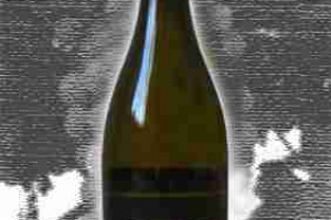 Decugnano dei Barbi Doc Orvieto Classico Supriore “Il Bianco”