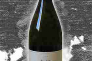 Falesco Doc Est! Est!! Est!!! di Montefiascone “Poggio dei Gelsi”