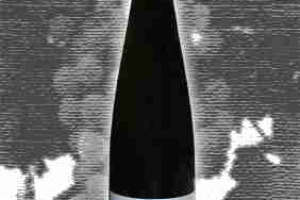 Falkenstein Doc Alto Adige Valle Venosta Riesling