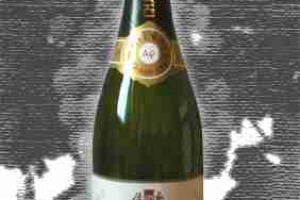 Gatinois Champagne Brut Tradition Grand Cru -