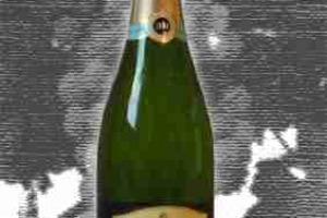 Berlucchi Franciacorta Docg Palazzo Lana Brut Satèn