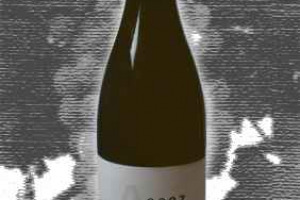 Antoine Jobard Appellation Meursault Controlée Les Tillets