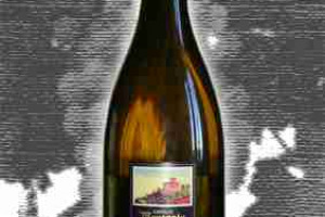 Castello di Monsanto Toscana Igt Chardonnay Fabrizio Bianchi