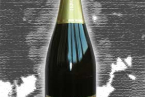 Ferghettina Docg Franciacorta Extra Brut