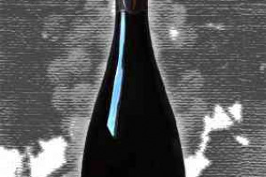 La Guardiense Doc Guardia Sanframondi Brut Cinquantenario Janare -