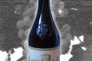 Il Pollenza Marche Igt Il Pollenza