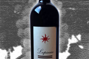 Castello del Terriccio Toscana Igt Lupicaia