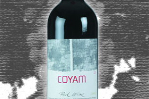 Vinedos Emiliana Emiliana Colchagua Valley Coyam