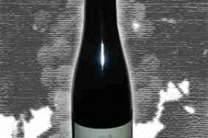 Cantina Produttori Caldaro Doc Alto Adige Passito Castel Giovanelli Serenade