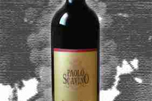 Paolo Scavino Docg Barolo Bric del Fiasc