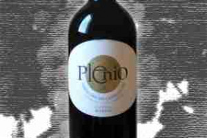 Umani Ronchi Doc Verdicchio di Jesi Classico Riserva Plenio