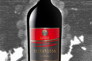 Cantine Due Palme Doc Salice Salentino Selvarossa Riserva