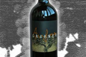 Gravner Venezia Giulia Igt Ribolla Anfora