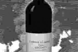 Fattoria di Lamole - Le Stinche Docg Chianti Classico Antico Lamole - Vigna Grospoli