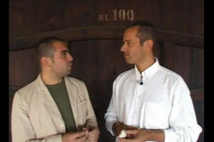 Ecco il tappo sintetico per i vini da lungo invecchiamento, gi&agrave; sperimentato da numerose griffes del vino, francesi in testa